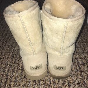 Cream colored Uggs